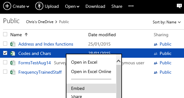 embed an excel file in a web page
